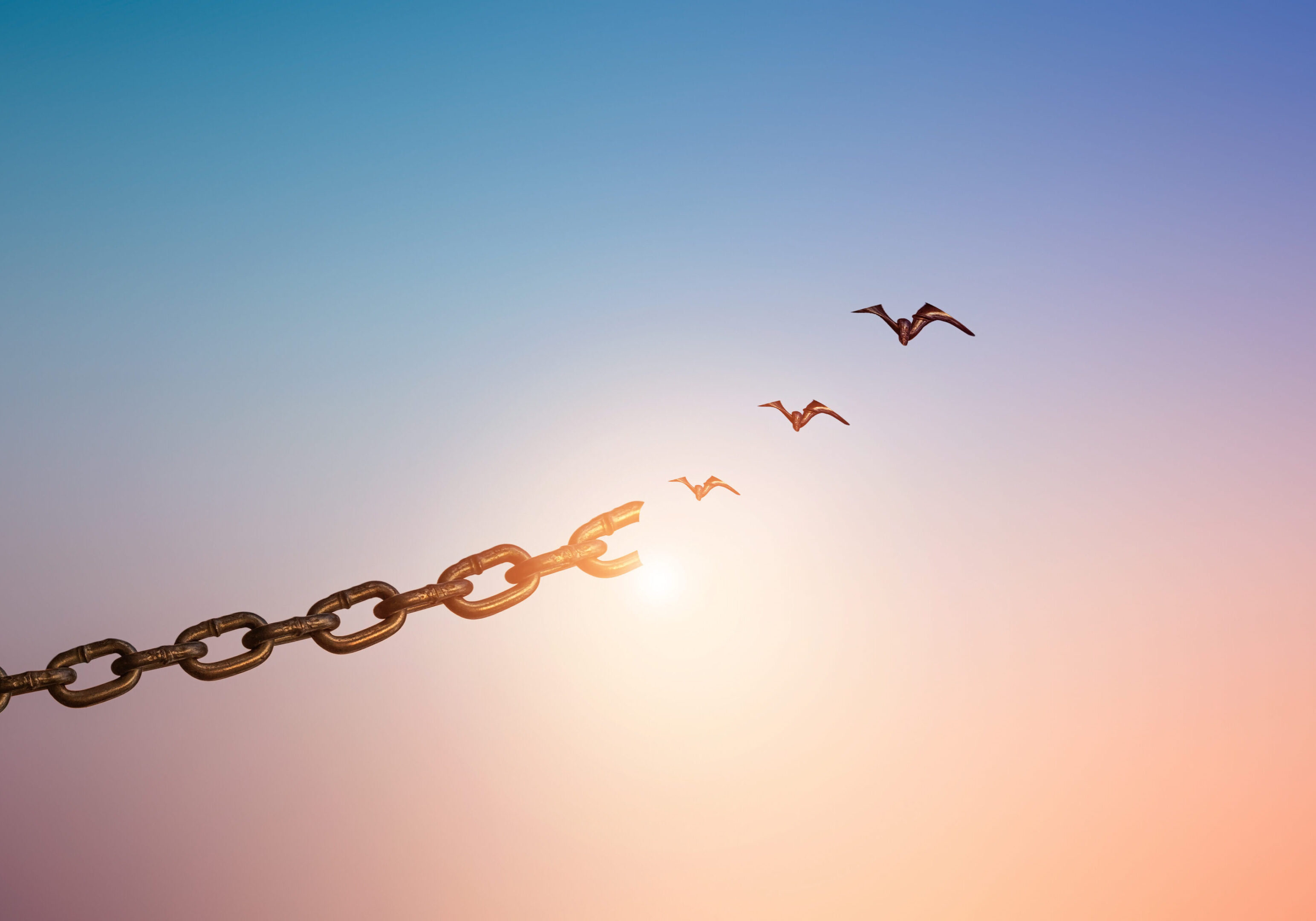 Silhouettes of broken chain and birds flying in sunrise sky background. Silhouettes of broken chain and birds flying in sunrise sky background.